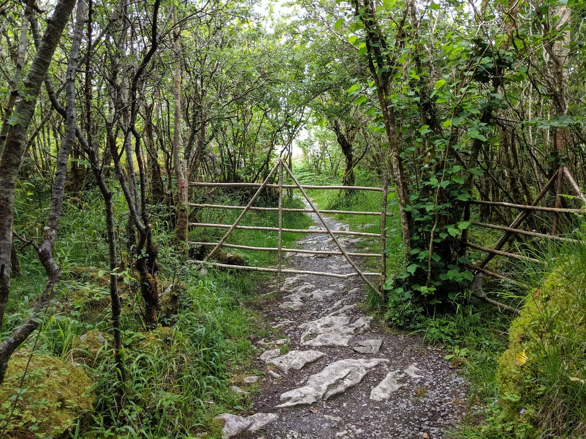 Burren