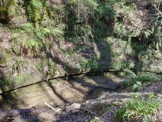 Old Roar Gill