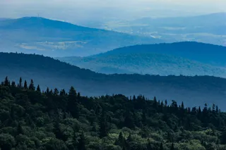 Mont Sutton