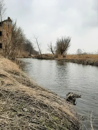 Ruiny Młyna w Turce