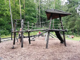 Leśny Ogród Botaniczny "Marszewo" w Gdyni