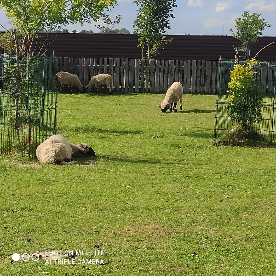Zoo Wojciechów