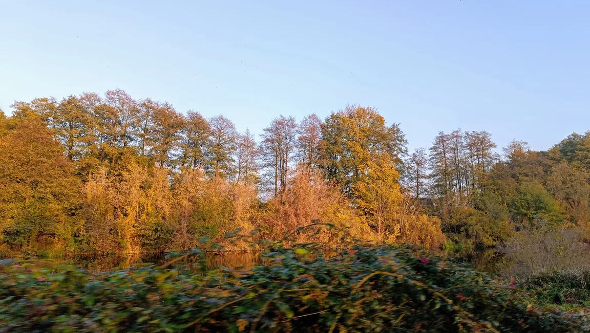 Szlak nad kanałem