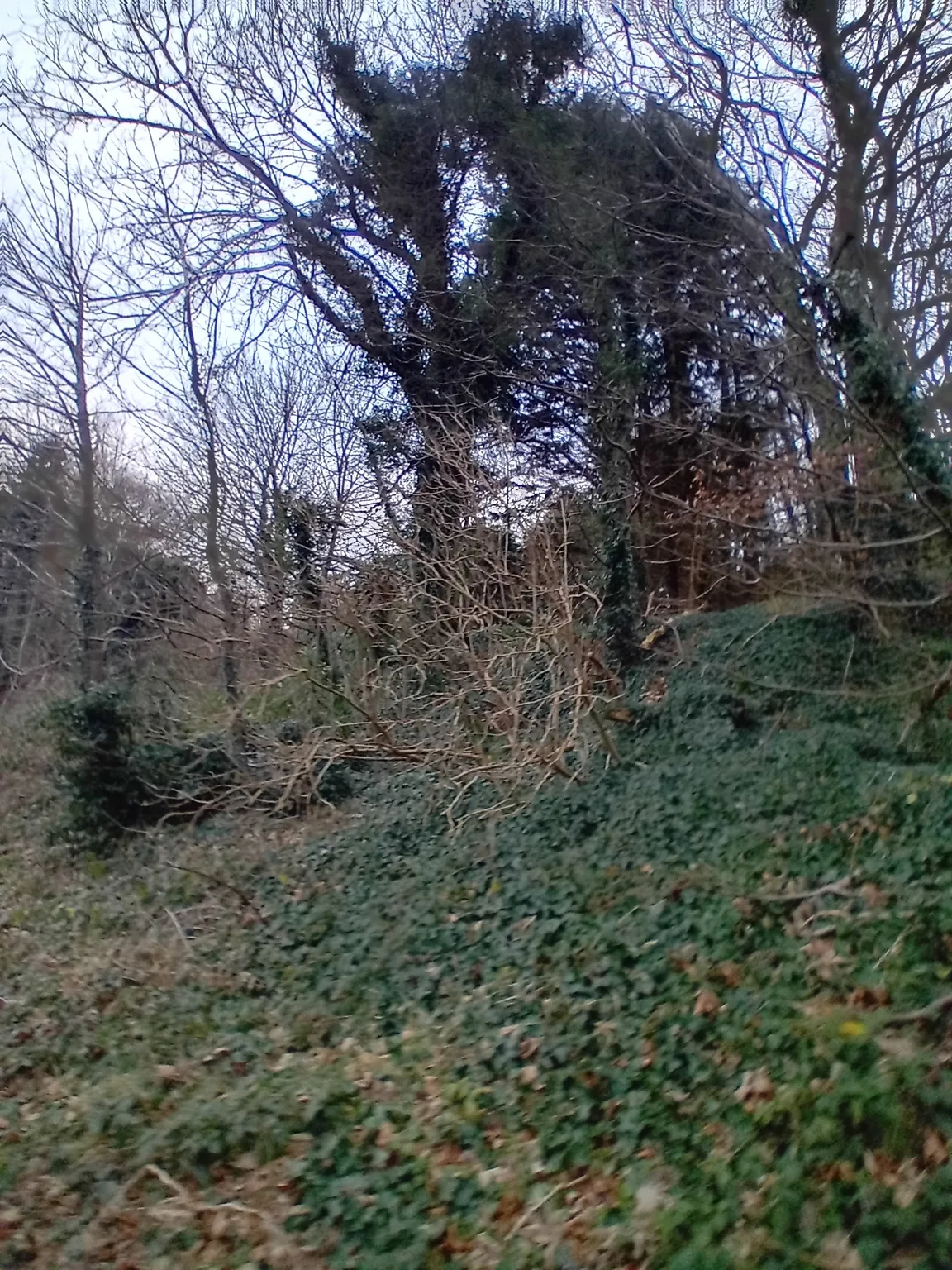 The Mourne Wall