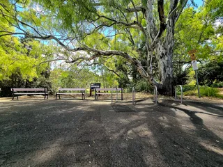 Cafe Bonython