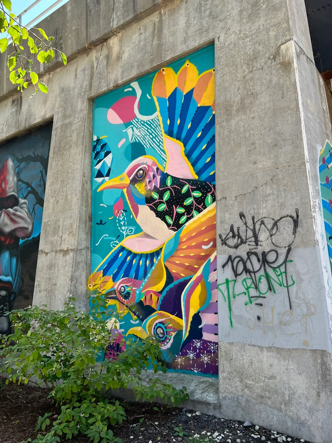 Beta Project (Hubbard Street Murals)