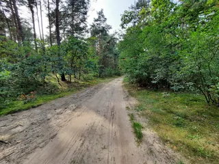Łosiówka