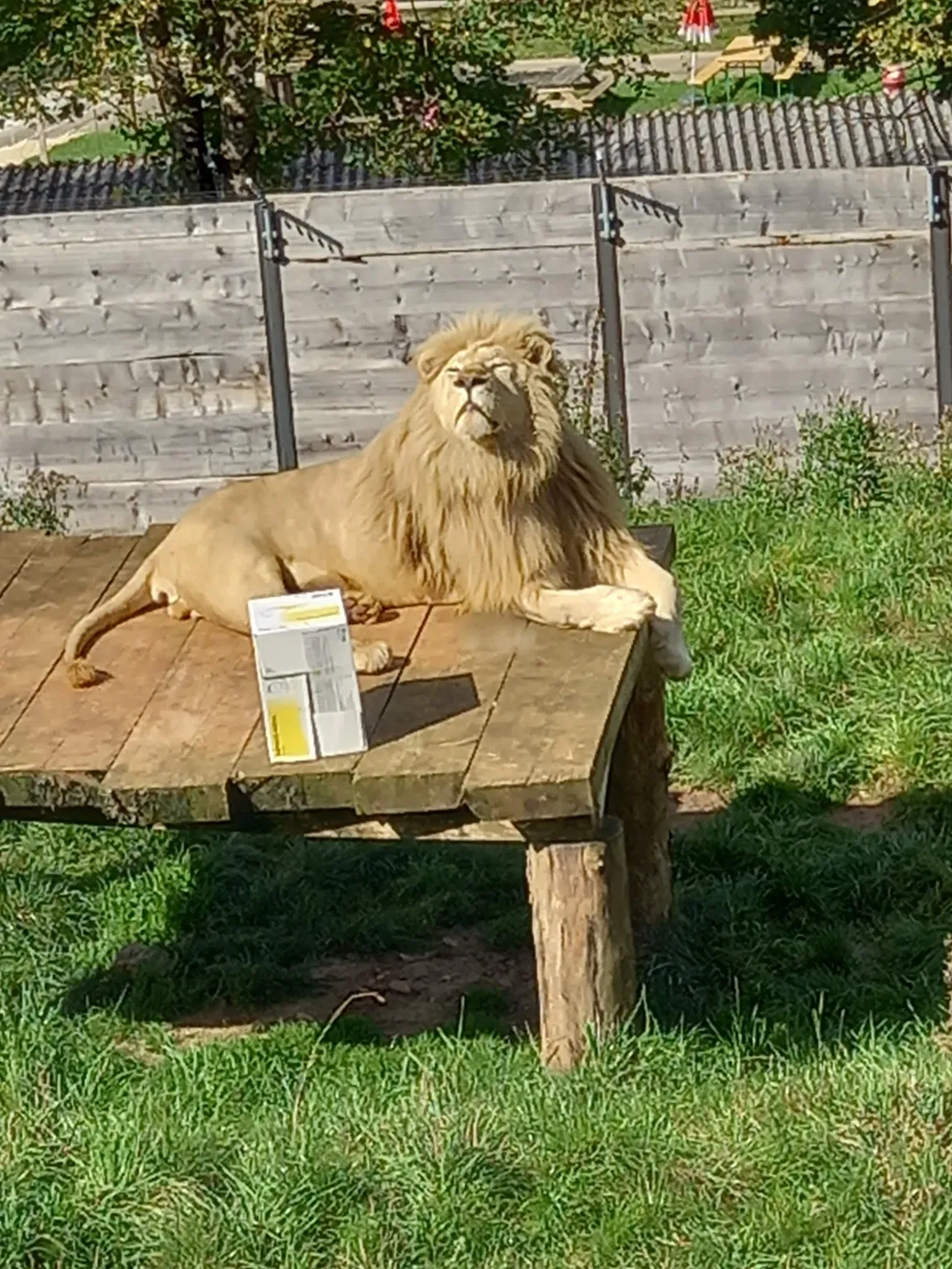 ZOO Siky Ranch, Christophe Keller
