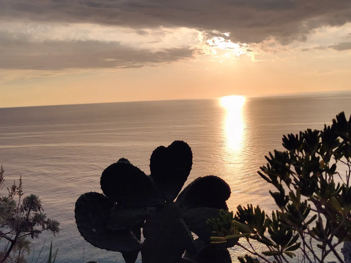 Ristorante Hotel Mercurio sul Mare