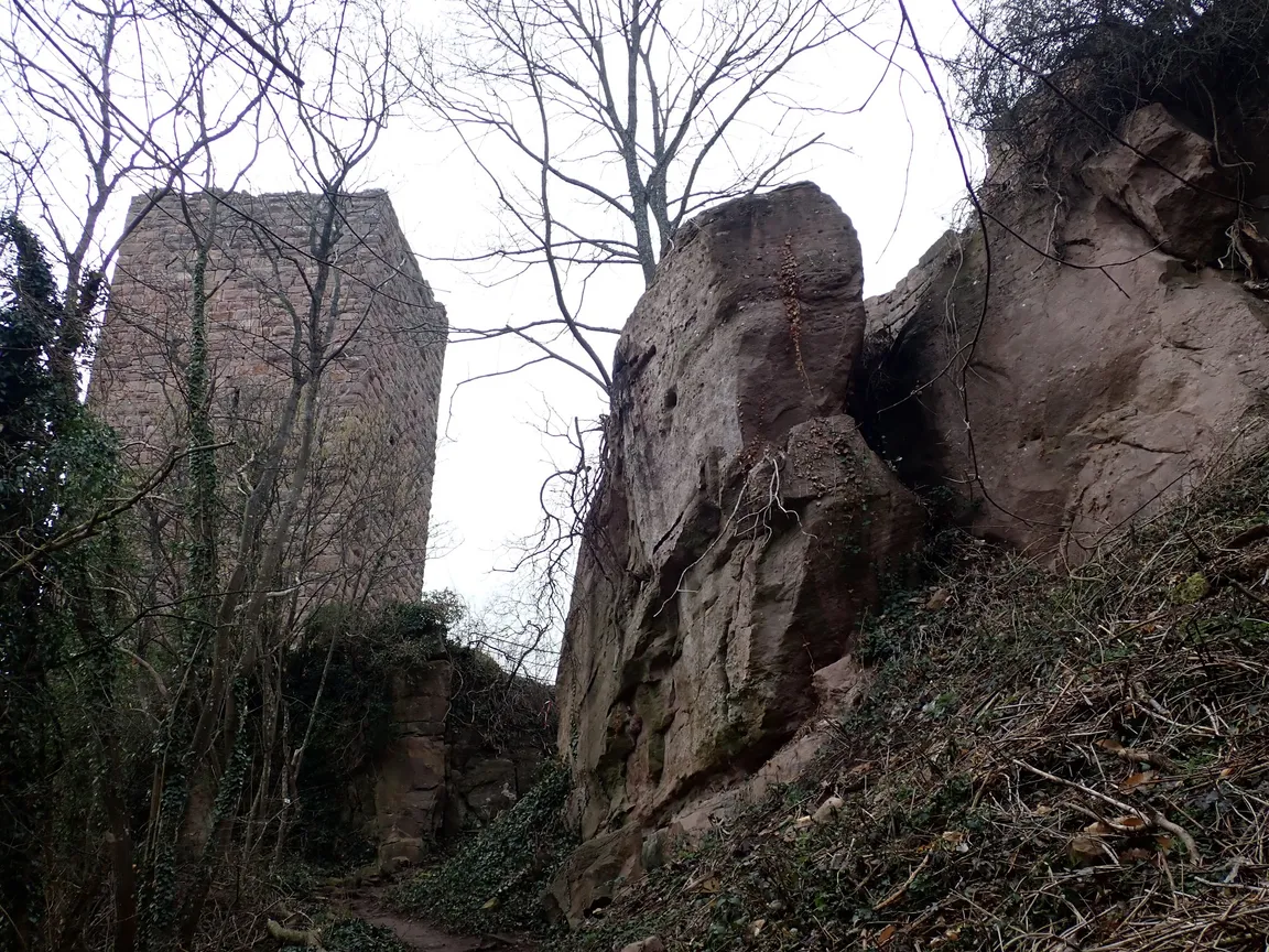 Château fort de Weckmund