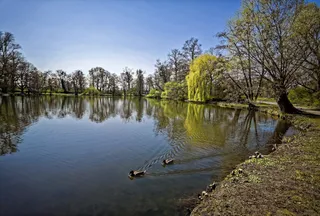 Georgengarten