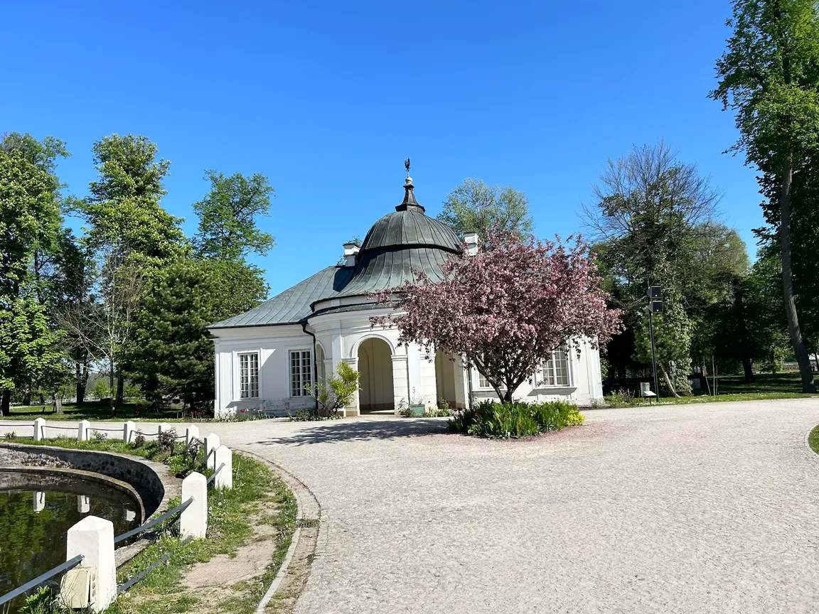 Labirynt w kukurydzy i bukowy