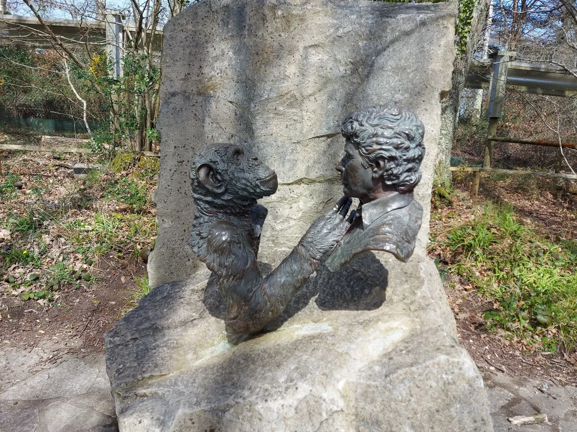 Monkey World