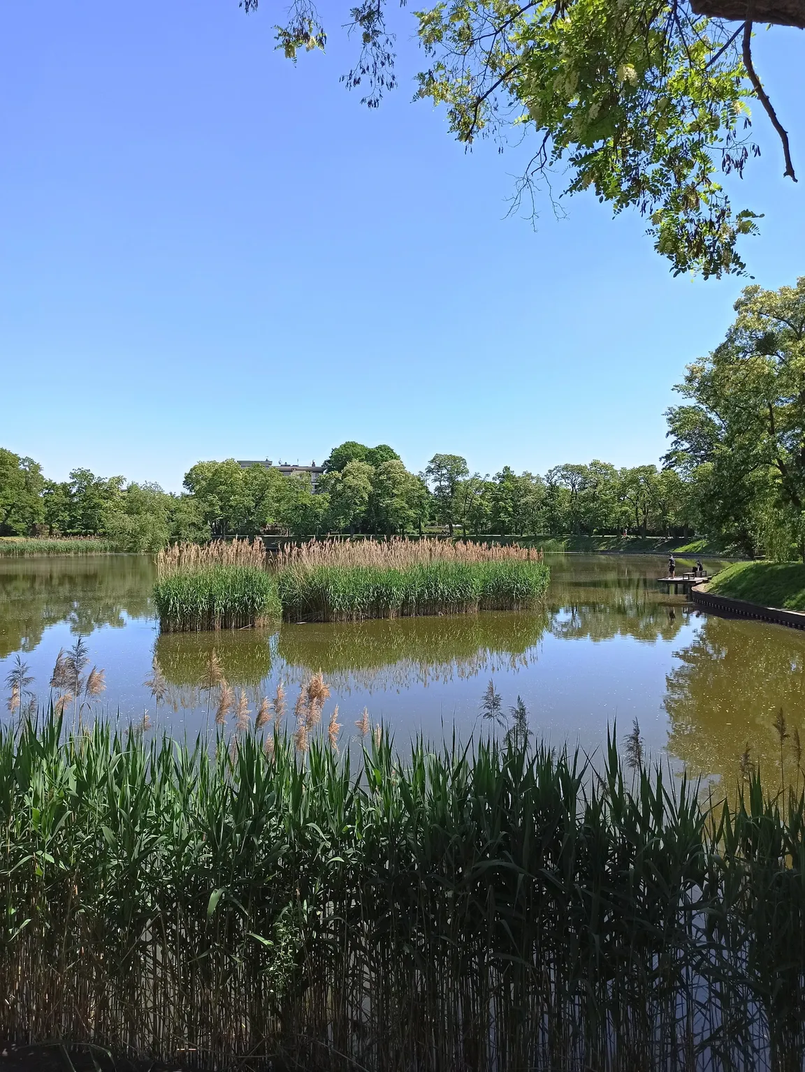 Park ze Stawami Cietrzewia