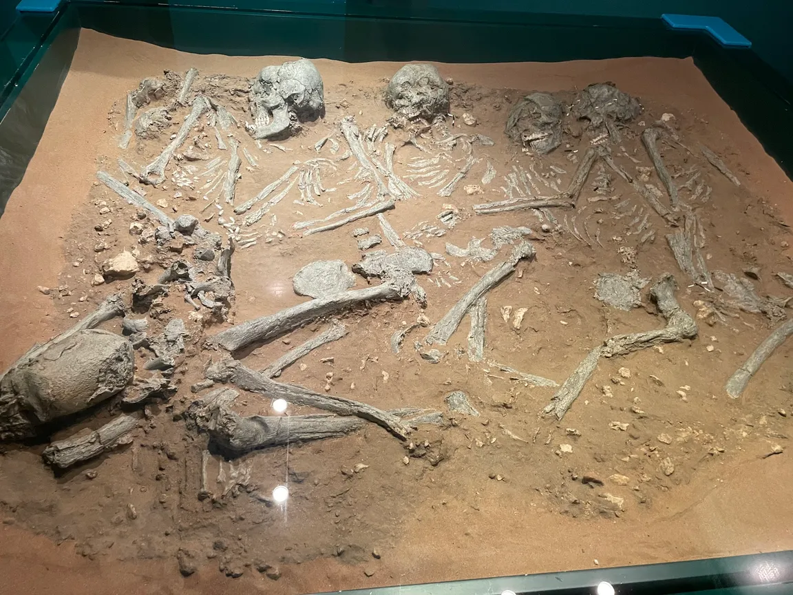 Sharjah Archaeology Museum