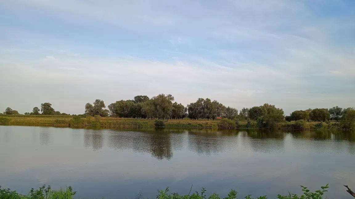 Zalesiona ścieżka spacerowo - biegowo - rowerowa