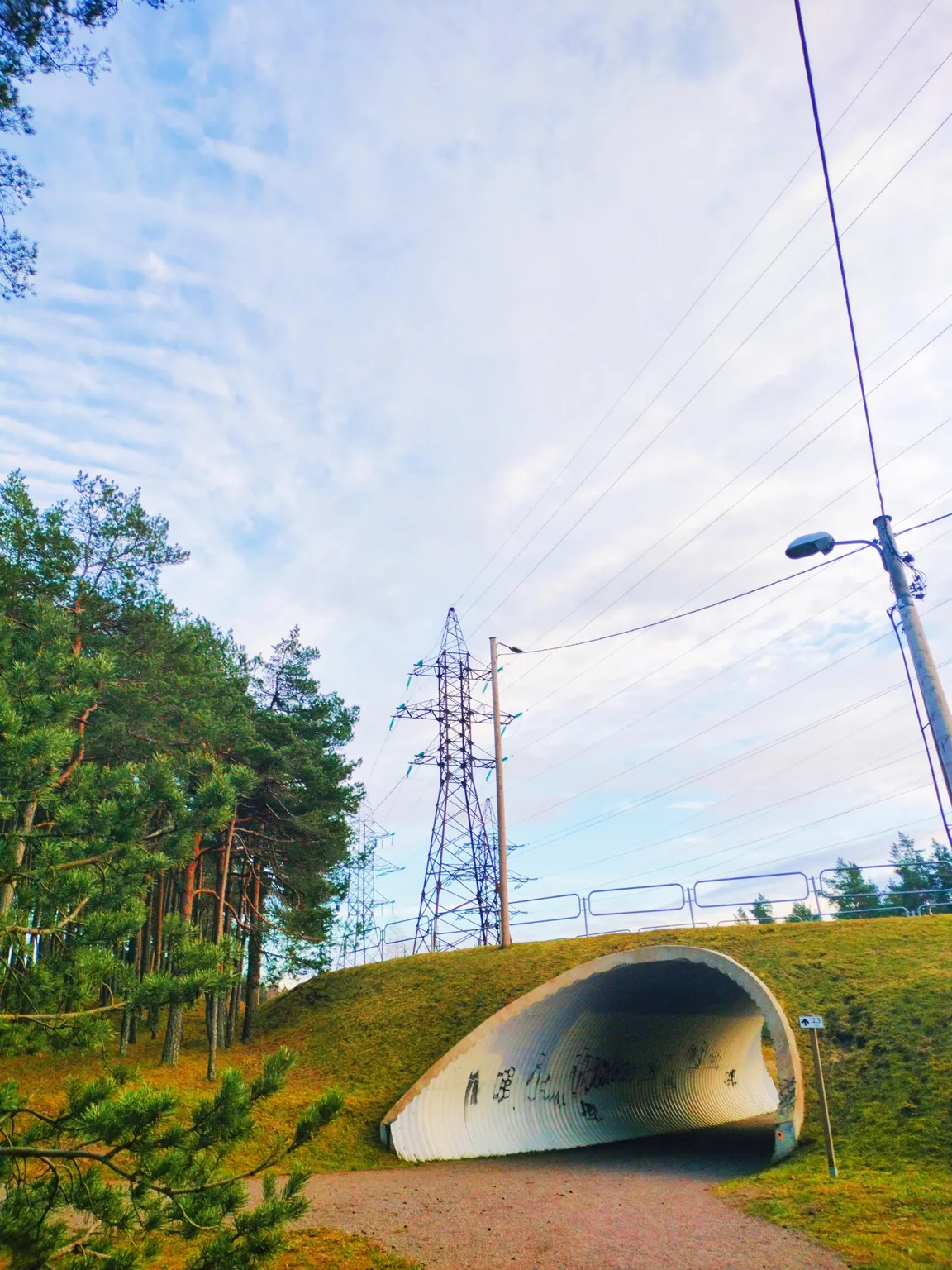Järve mets