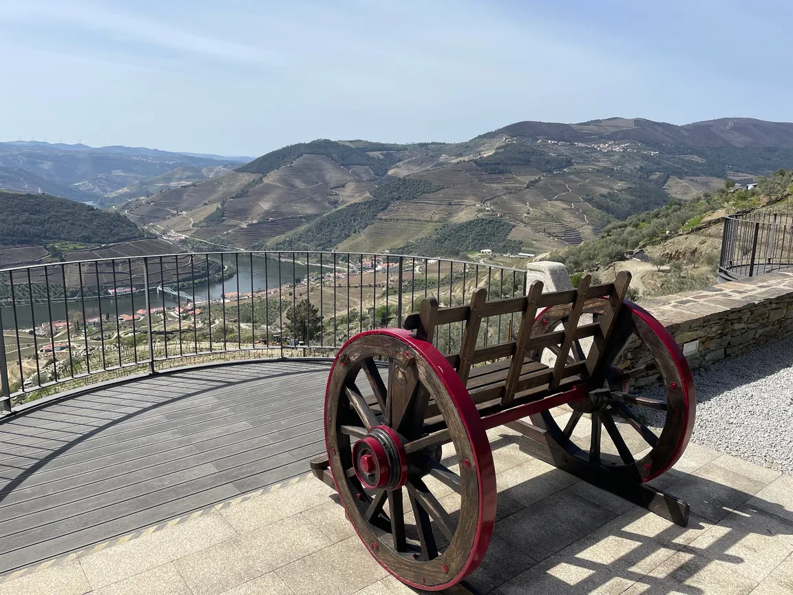 Quinta do Jalloto - Family vineyards