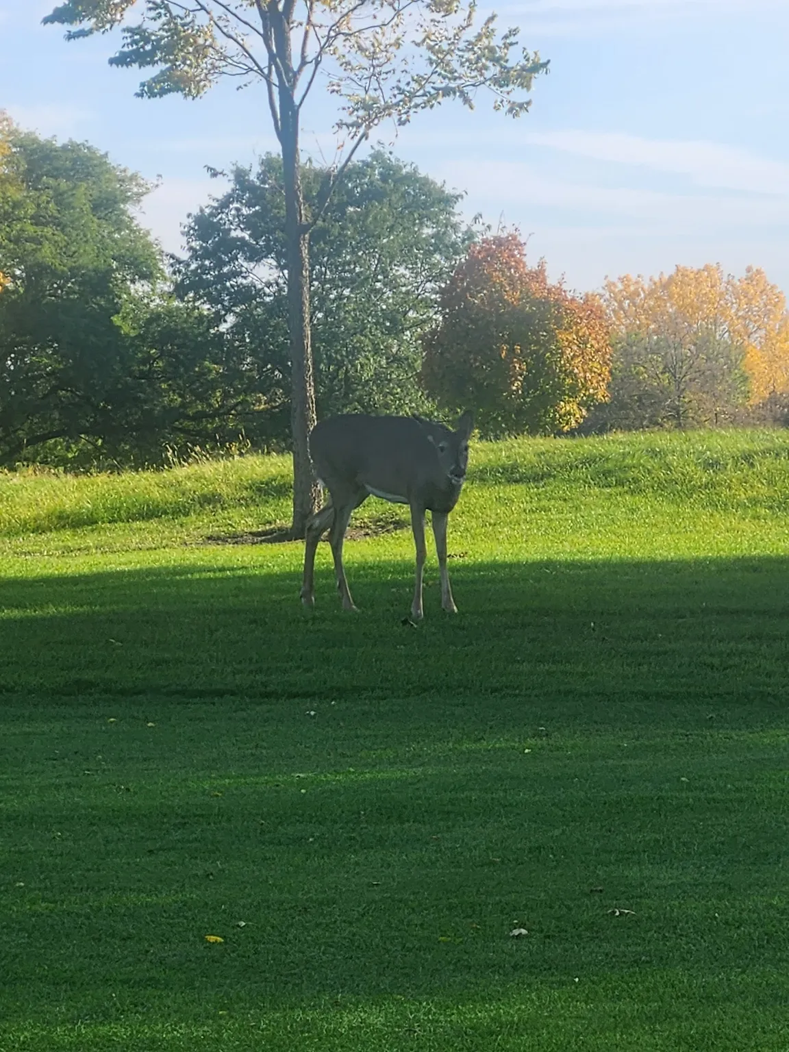 Joe Louis "The Champ" Golf Course
