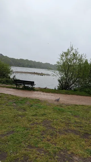 Waltham Brooks Nature Reserve