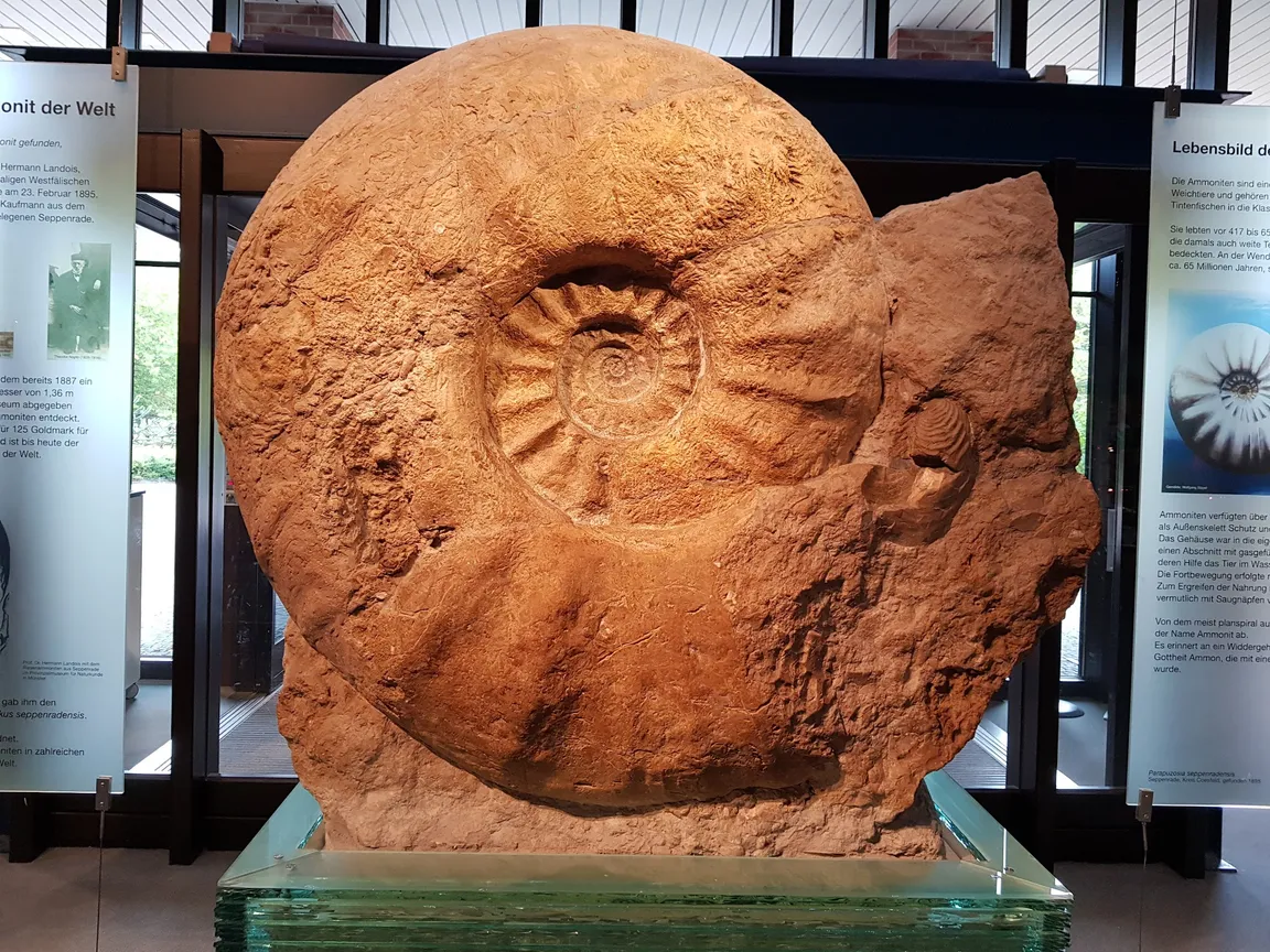 LWL Museum of Natural History with Planetarium