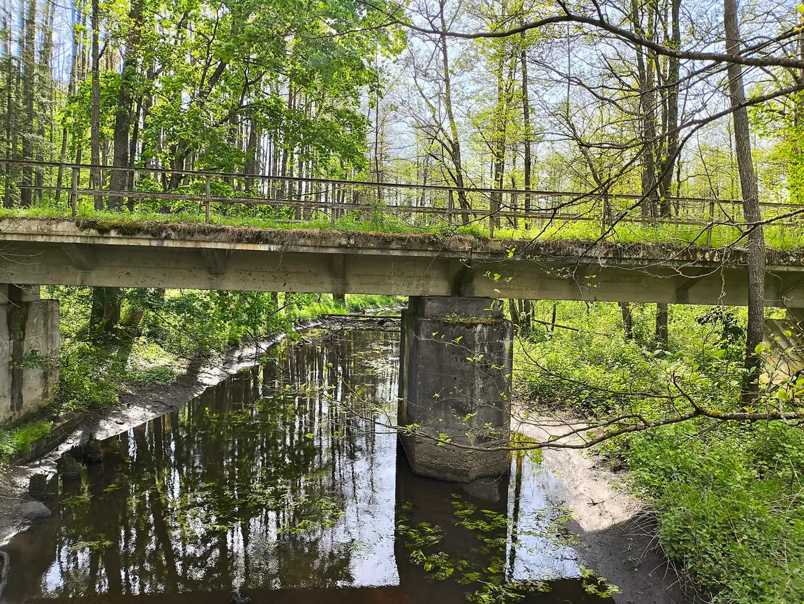 Stara Białowieża