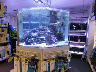 Seaview Aquarium Centre