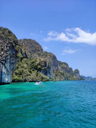 Monkey Beach
