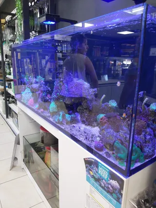 Marine Plus Aquariums
