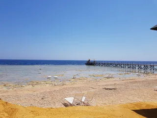 Palma Beach & Poseidon Restaurant Lounge