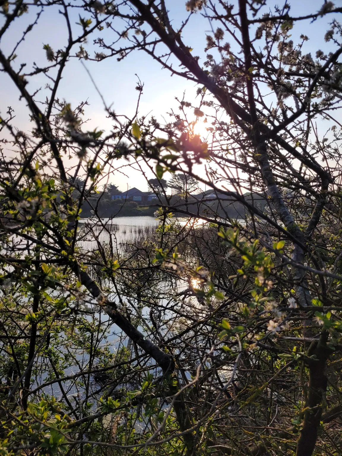 Pagham Harbour Walk