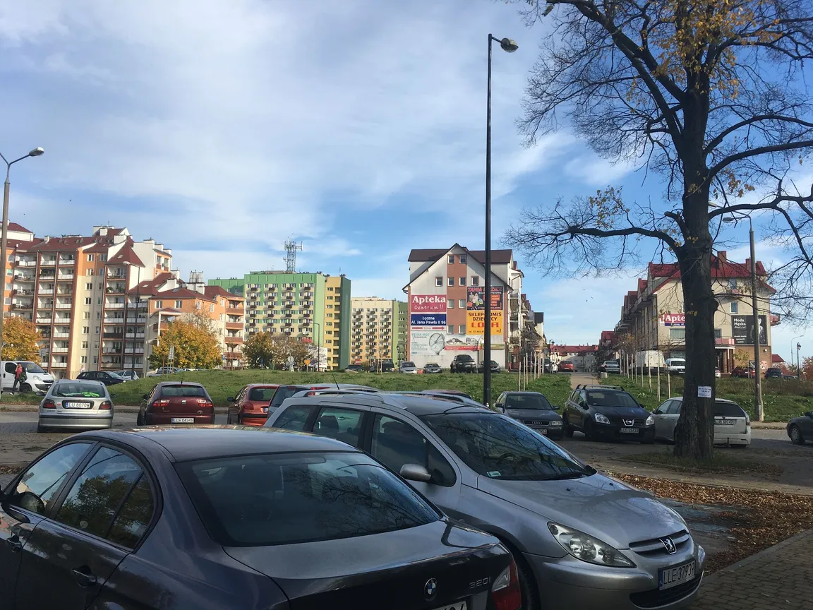 Pomnik dzika