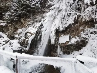 Cascada Urlătoarea (Bușteni)