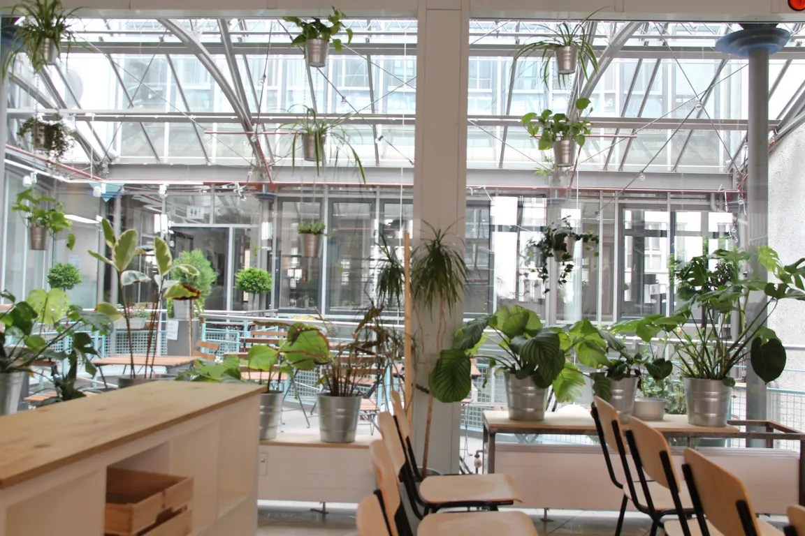 URBN JUNGLE Leipzig - A Future City Lab