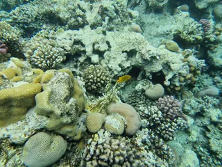 Hurghada Reisen