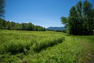Mountain Meadow Preserve