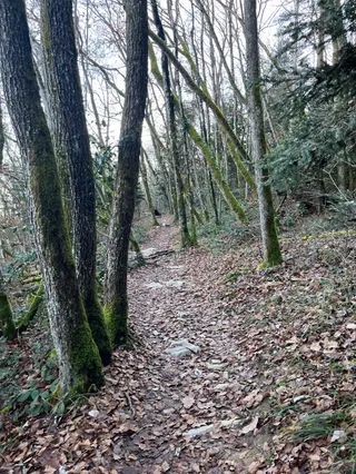 Semnoz