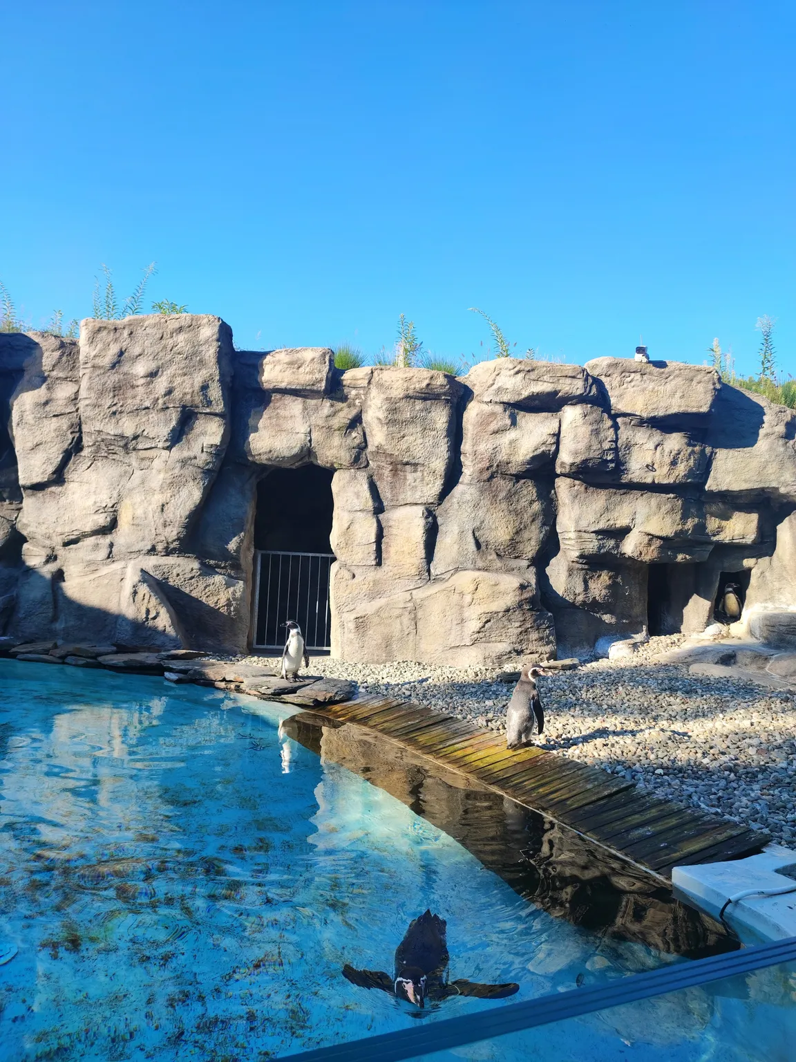 Śląski Ogród Zoologiczny