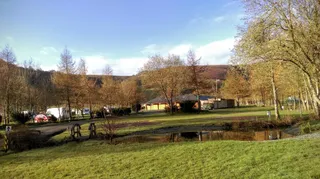 Fforest Fields