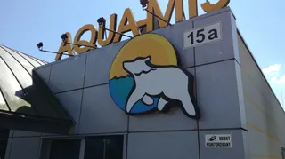 AquaMiś