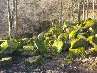 Nine Ladies Stone Circle