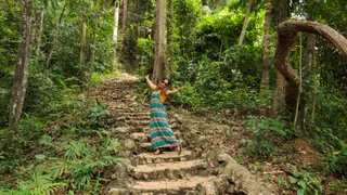 Khao Tham Suea Pahksa Sawan Krabi Urban Forest