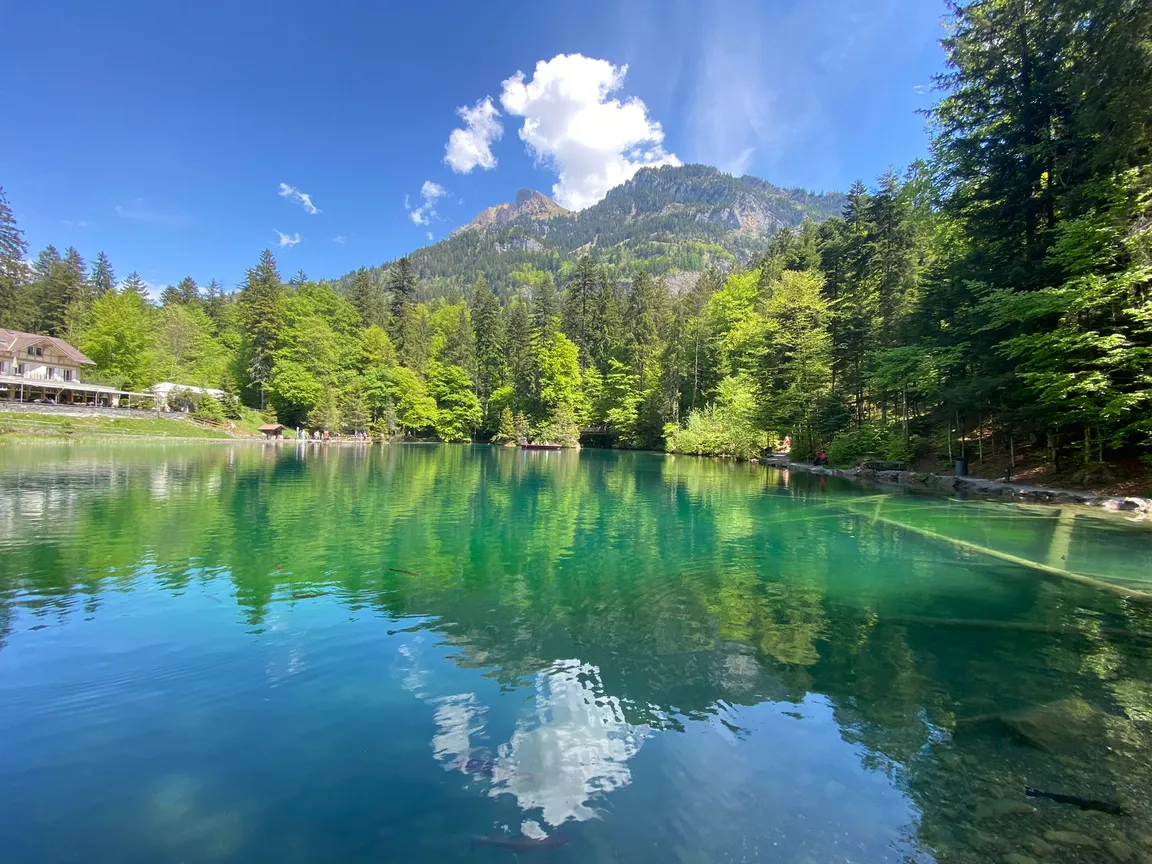 Naturpark Blausee