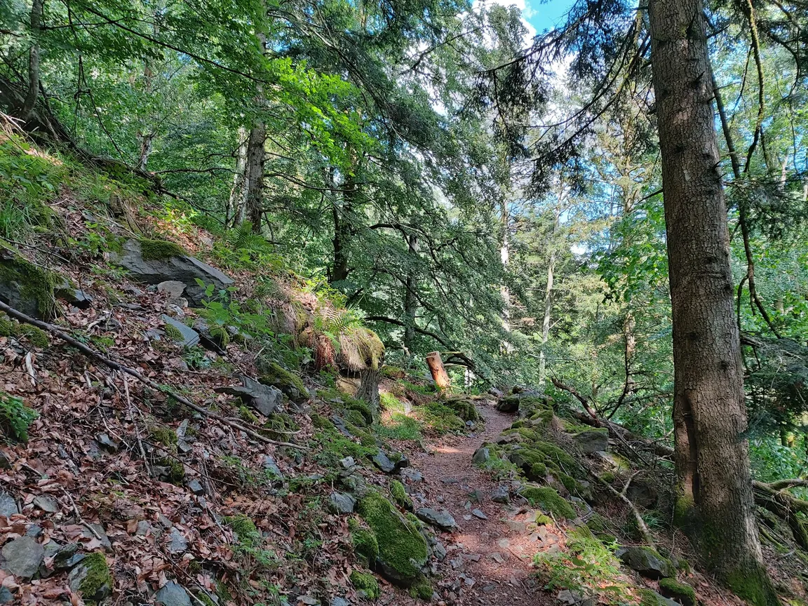 Zweitaelersteig