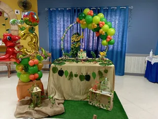 Carousel at Dolfar Hall