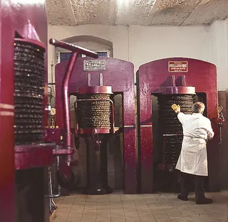 L'Acropoli di Puglia olive oil Mill - Martina Franca