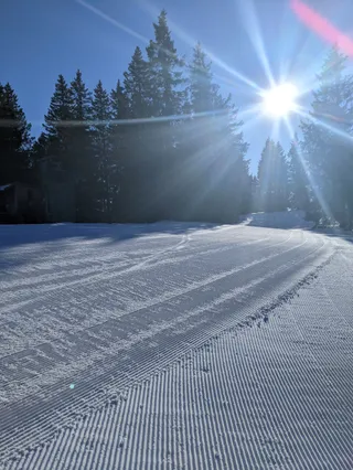 Feldberg
