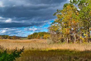 Cheesequake State Park