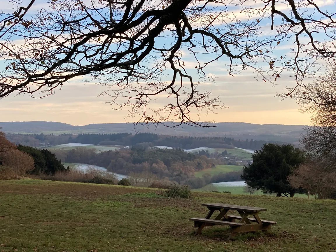 Newlands Corner