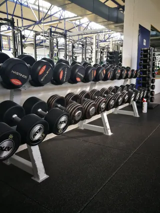 CrossFit am Rhein